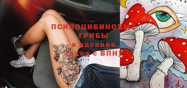 индика Алексеевка