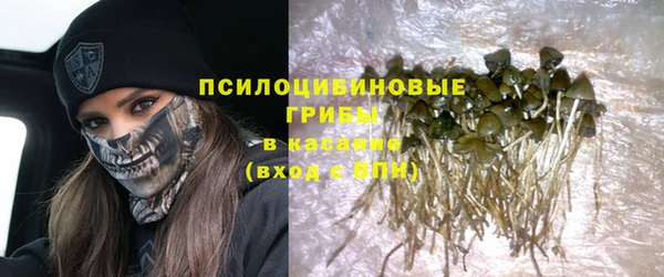 индика Алексеевка